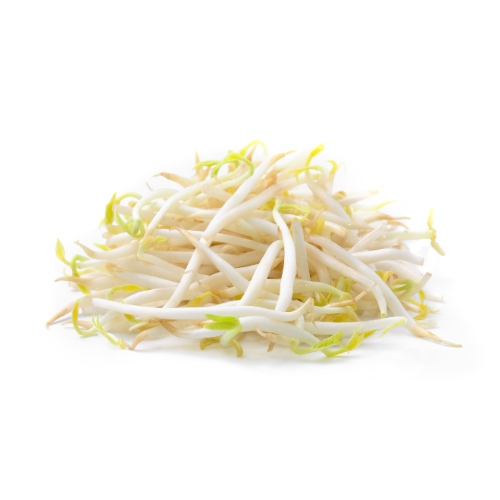 Bean Sprouts