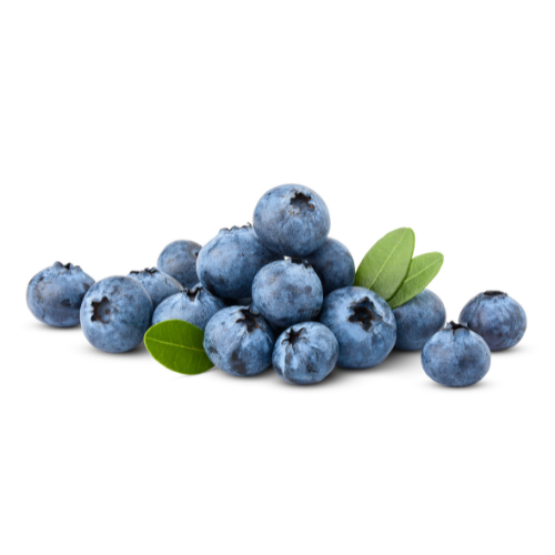 Blueberry Punnet