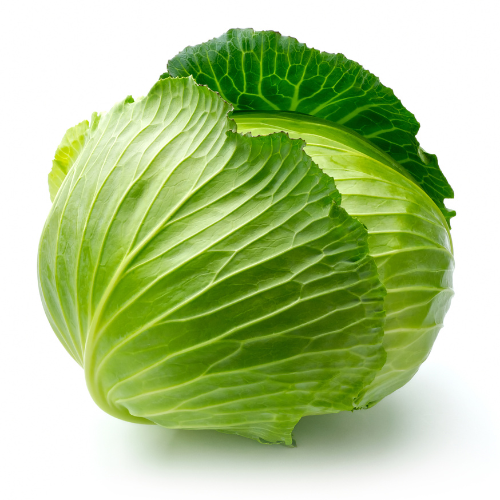 Cabbage Whole