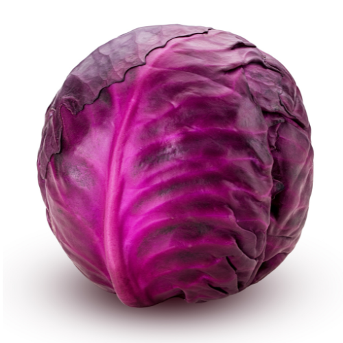 Cabbage Red Whole