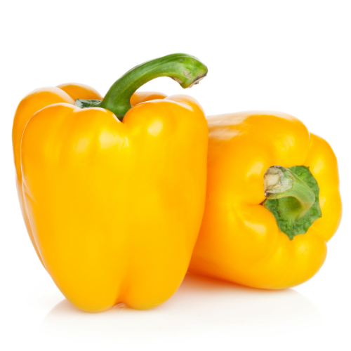 Capsicum Yellow each
