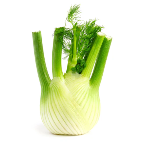 Fennel Bulb Large each
