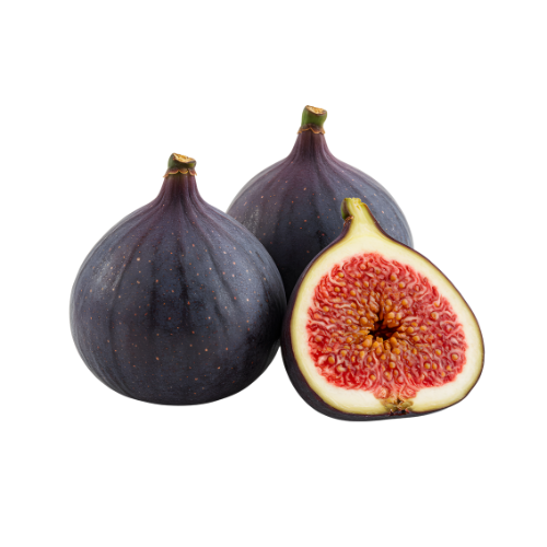 Fig