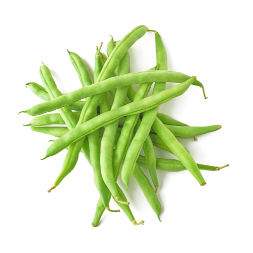 Green Beans Hand Picked