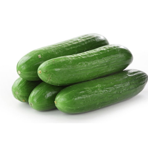 Cucumber Lebanese 1kg